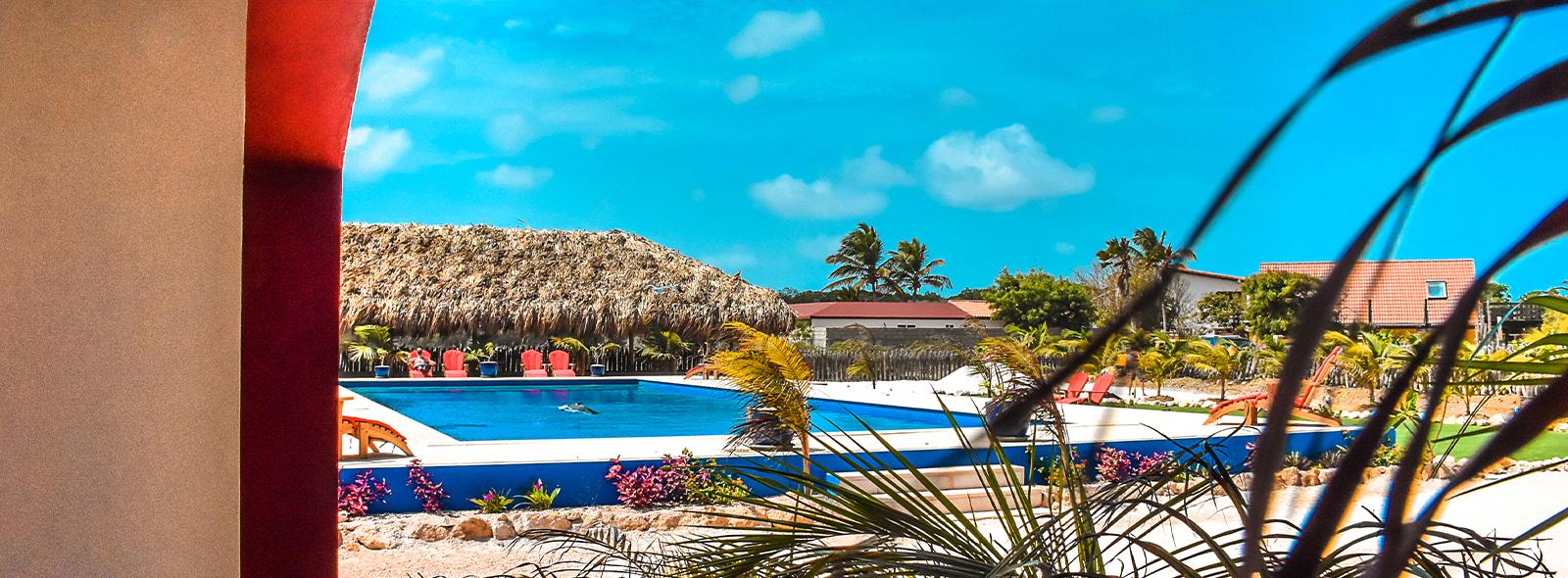 piscine exterieur de l'hotel sorobon à bonaire sur le spot de lac bay 