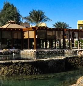 Piscine dauphin Three Corners Rihana Inn à El Gouna au Maroc