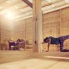 cours de yoga à l hotel Keros Blue à Limnos