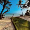 départ de la plage avec zone engazonnée a Ste Anne Guadeloupe