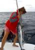 Pêche avec la croisière aux grenadines dans les Antilles 