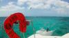 Croisière kitesurf à Saint Martin avec le club Wind Adventure