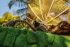 Pour-votre-séjour-windsurf-logez-au-Sossego-Surf-Camp-12