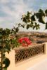 Fleur de bougainvillier à l’hôtel Old Sophia à coté du spot Karpathos en Grèce