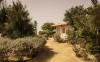 Jardin et vue exterieure des bungalows a Dakhla au Maroc
