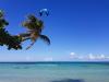 Kitesurf sur le spot Las Terrenas en République Dominicaine au club LT Kite