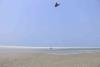 Kitesurf lagune et plage vue de loin Kitesurfing Mannar au Sri Lanka