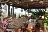 Espace de repas de l'hébergement Orquidea à Boa vista au Cap vert