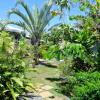 Jardin Malueva