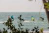 Vue derrière les plantes du spot de windsurf de Jericoacoara au Brésil