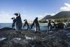 Partez à la découverte de la faune de l'afrique du sud à cape town
