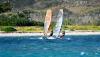 Deux windsurfeurs en navigation sur le spot de Saint Martin aux Antilles