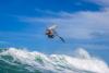 Partez faire du windsurf-sur-le-spot-de-icaraizinho-au-Brésil-6