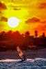 Et-si-vous-alliez-rider-sur-le-spot-de-Sao-Miguel-de-Gostoso-kitesurf-ou-windsurf-vous-trouverez-votre-bonheur-14