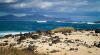 Allez-rider-sur-les-spots-de-Fuerteventura-à-Corralejo-aux-Canaries-5