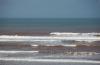 Logez-au-Magic-Fun-Afrika-à-Moulay-pendant-votre-séjour-windsurf coaching avec Ronald Richoux 1