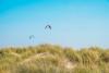 Partez faire du surf sur le spot