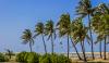 Découvrez l'île de Mannar au nord ouest du Sri Lanka