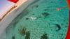 Apprenez le windsurf avec ION CLUB Safaga en Egypte 7