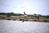 Partez découvrir la réserve ornithologique de Mannar au Sri Lanka 13